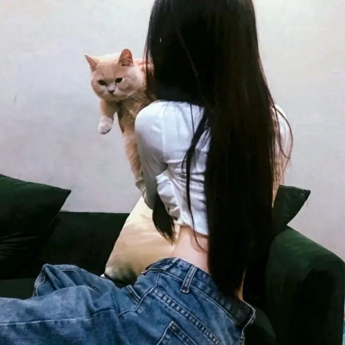 超人和露易丝第四季
